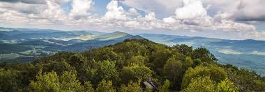 The gray fox is actually very common to see in west virginia. 9 Mountain Landscapes That Will Make You Feel At Peace With The World Almost Heaven West Virginia Almost Heaven West Virginia