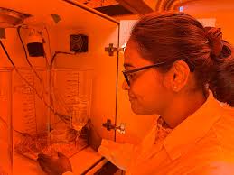 Grabau Helps Kroeger Lab Unravel Effects of Sleep