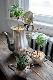 Pin By Mandy Strauss On Bepflanzung In 2020 Inside Garden Succulents Succulents In Containers