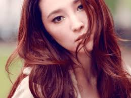 Asian hair is notoriously difficult to color. The Best Hair Colors For Asians Hubpages