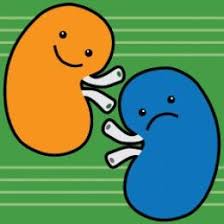 My Post Gallbladder Surgery Diet Gallbladder Surgery Diet Post Gallbladder Surgery Diet Gallbladder Surgery