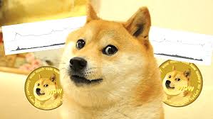 Meist sind die schwankungen an einem tag auch so groß, dass sich ein. Doge Coin Ing Krypto Geschosse Hodl An Und Suchen Sie Schutz Ca Stocks