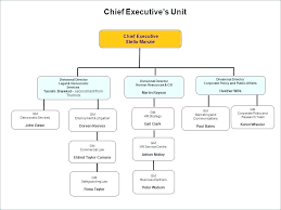 60 Hand Picked Schlumberger Organizational Chart