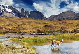 Cordillera del paine is a small but spectacular set of mountains. Adventure In Santiago Torres Del Paine National Park 10 Days Kimkim