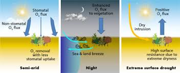 Ne le dis a personne et personne ne le saura tab by deportivo with free online tab player. Investigation Of Ozone Deposition To Vegetation Under Warm And Dry Conditions Near The Eastern Mediterranean Coast Sciencedirect