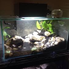 Fluval Edge Build