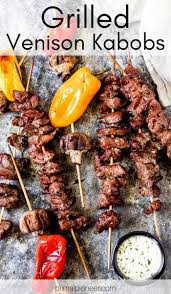 Deliciously Marinated Grilled Venison Kabobs The Perfect Summer Grilling Recipe For Your Veniso Venison Tenderloin Recipes Venison Steak Recipes Deer Recipes