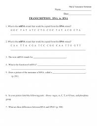 T g t transcription mrna: Transcription Worksheet Biological Science Picture Directory Pulpbits Net