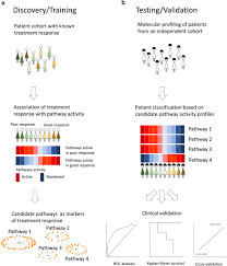 These markers tend to increase whenever cancer is present. Genome Wide Analysis Of Therapeutic Response Uncovers Molecular Pathways Governing Tamoxifen Resistance In Er Breast Cancer Ebiomedicine