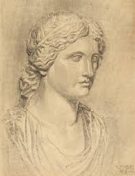 Free Vectors, PNGs, Mockups & Backgrounds