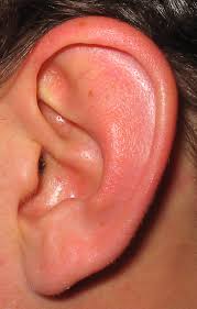 Therefore children with little to no ear. Ear Infections The Children S Clinic