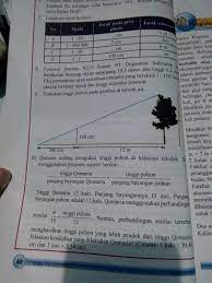 Perhatikan gambar sel dibawah ini proses yang terjadi pada x adalah blog pak pandani. Tentukan Tinggi Pohon Pada Gambar Di Bawah Ini Nomer 9 Brainly Co Id