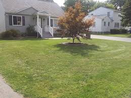 Quality is paramount at bayside landscape & pruning and that's why we continue to attract landscaping customers from all over the sequim area. Bayside Landscaping Home Facebook