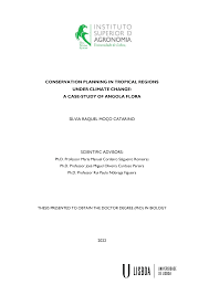 Image result for Kotschya aeschynomenoides