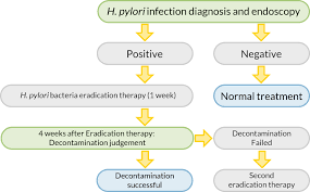 Pylori is found, it can be treated using eradication therapy, which usually consists of two antibiotics and another type of medicine called proton pump inhibitor (ppi). Detecting And Eradicating H Pylori Otsuka Pharmaceutical Co Ltd