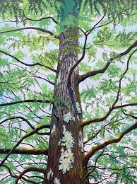 Celebrate nature's majesty with local art by Rachel Clegg at BMCA