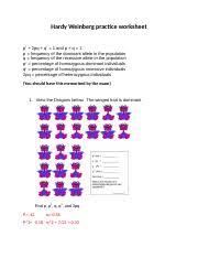 However, for individuals who are unfamiliar with algebra, it takes some practice working problems before you get the hang of it. Hardy Weinberg Practice Worksheet 1 Docx Hardy Weinberg Practice Worksheet P2 2pq Q2 1 And P Q 1 P Frequency Of The Dominant Allele In The Course Hero