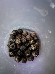 Image result for Aiphanes horrida