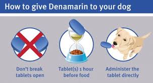 Denamarin High Level Liver Function Support For Pets Protexin