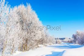 Check spelling or type a new query. Winter Strassenlandschaft Mit Weiss Gefrorenen Baumen Foto Vorratig Crushpixel
