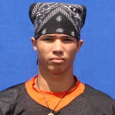 2016 Preview: Wellsville Tigers