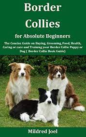 Amazon Com Border Collies For Absolute Beginners The Concise Guide On Buying Grooming Food Health Caring Or Care And Training Your Border Collie Puppy Or Dog Border Collie Book Guide Ebook Joel Mildred