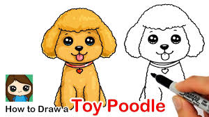 How To Draw A Toy Poodle Puppy Dog Easy Youtube Poodle Drawing Baby Animal Drawings Toy Poodle Puppy