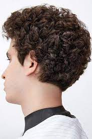 Luckily, keeping your curls healthy is just a matter of cutting down. 45 Curly Hairstyles For Men To Sport In 2021 Menshaircuts Com