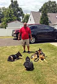 Maybe you would like to learn more about one of these? Dog Board Train Services Anderson K9 Training