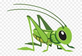 Grasshopper clipart and stock illustrations. Cartoon Grasshopper Clipart 1547105 Pikpng