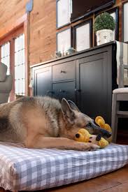 This might work for light weight animals, but my dog is. Diy Extra Large Dog Bed Creative Cain Cabin