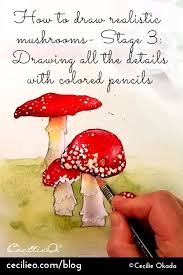 How To Draw A Realistic Mushroom Cecilie Okada Design Realistic Drawings Mushroom Drawing Watercolor Paintings For Beginners