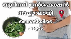 Home Remedies For Urinary Tract Infection In Malayalam Uti Natural Treatment Prs Kitchen Tips Youtube