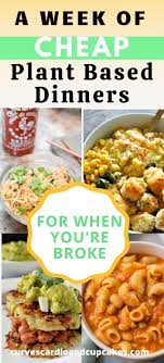 7 Cheap Plant Based Dinner Recipes For When You Re Broke Curves Cardio And Cupcakes Plant Based Recipes Dinner Plant Based Recipes Easy Tasty Vegetarian Recipes