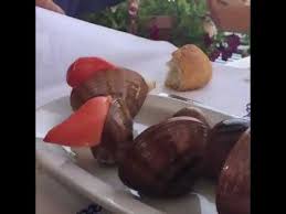 Midye Mussel Canli Midye Nasil Olur Merak Ettinizmi Hic Cok Ilginc Artik Yemem Diyenler Begensin Youtube