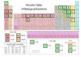 2.6 The Cell Membrane – Fundamentals Of Anatomy And Physiology