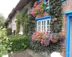 We did not find results for: Love The Blue Trim And All The Flowers Cottage Garden Gorgeous Window Boxes Window Boxes