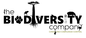 Image result for Adenostemma afrum