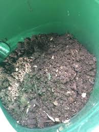 Maybe you would like to learn more about one of these? How To Make Compost Tea A Powerful Liquid Feed For Your Plants