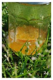 Dans La Bassine 24 Confiture Fruits Exotiques Confiture De Clementine