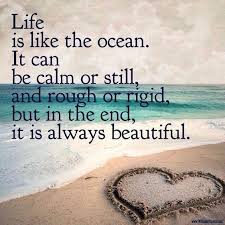 Windspree vacation homes welcomes you to the beautiful island of st john, where we have called home and managed virgin islands vacation rentals for over 30 years. 99 Beach Quotes For Awesome Summer Beach Quotes Funny Beach Quotes Ocean Quotes