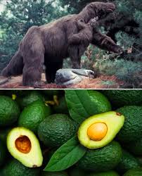 Image result for Light Avocado 1983 Fedders