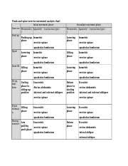 Trunk And Spine Exercise Movement Analysis Chart Docx