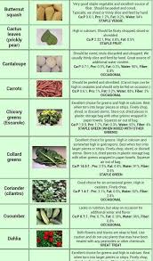 Shop for bearded dragon food in reptiles. Bearded Dragon Food Chart Google Search Bearded Dragon Food Bearded Dragon Diet Bearded Dragon