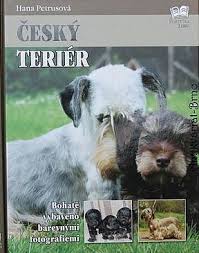 Image result for ČESKÝ TERIÉR
