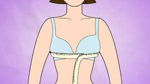 We did not find results for: How To Measure Chest Size 11 Steps With Pictures Wikihow