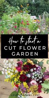 Pin On Gardening