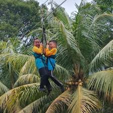 Sdn cempaka putih barat 11 pagi paket outbound pondok zidane sawangan depok plus wisata religi masjid fasilitas 1. Wisata Pondok Zidane Depok Info Rute Lokasi Harga Dan Tipsnya Infomurni Com