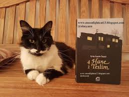 Moonlightcat13 4 Hane 1 Teslim Eyup Aygun Taysir Kitap Hayranlik