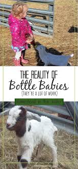 Reality Of Bottle Babies Homestead In The Holler Baby Bottles Baby Goats Pet Goat